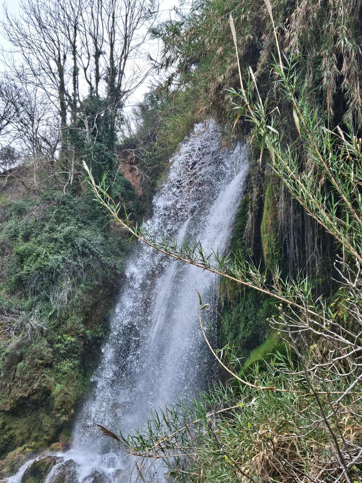 Foto de la ruta